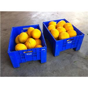 234 - microBins Agri-Box Piccoli